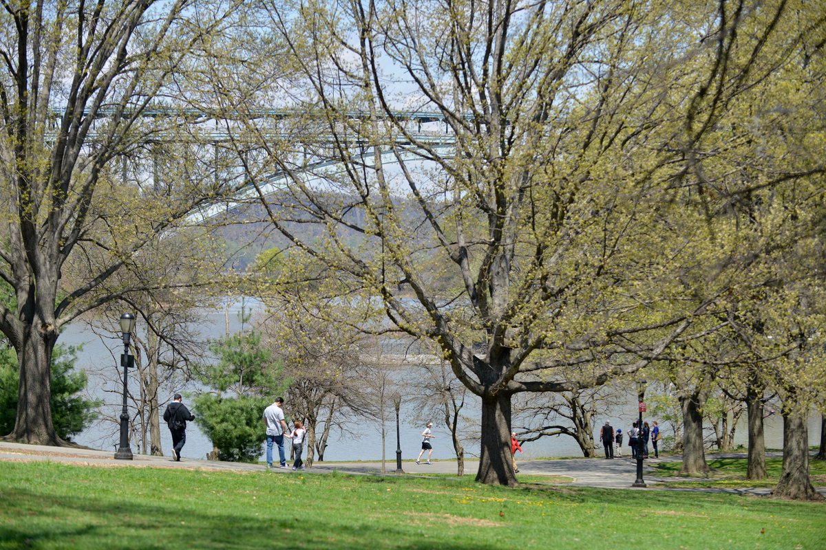 NYCParks's tweet image. It's #takeawalkintheparkday! Spend some time with nature today—add a park to your lunch break, commute, meet up, or workout routine.
