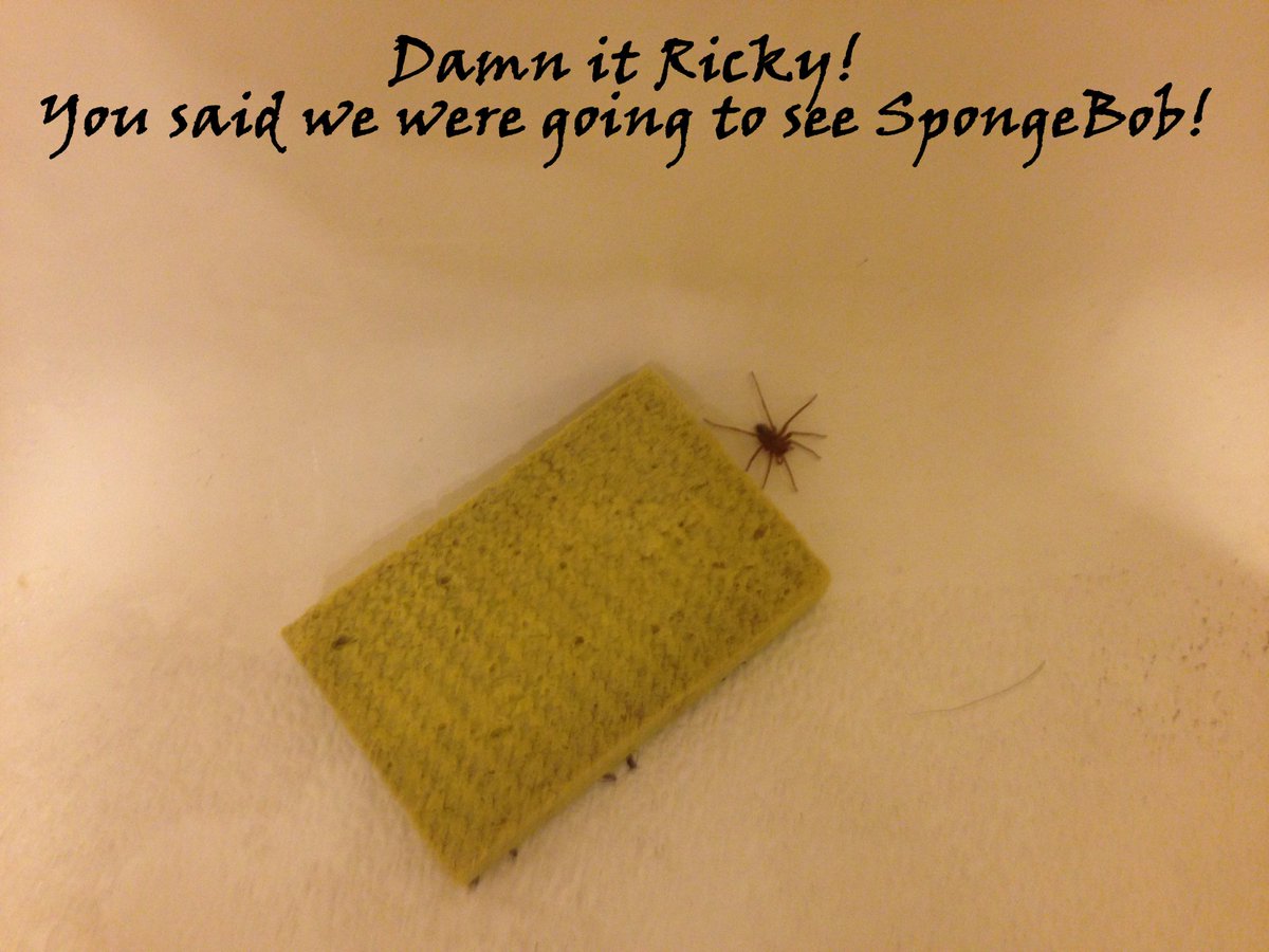 MitzaPlix's tweet photo. And now for something completely different! #WhoIsRicky #ANFSCD #funny #MEMES #thursdaythoughts #gamedev #indiedev #writerslife #writer https://t.co/0XTYJ1R4dt