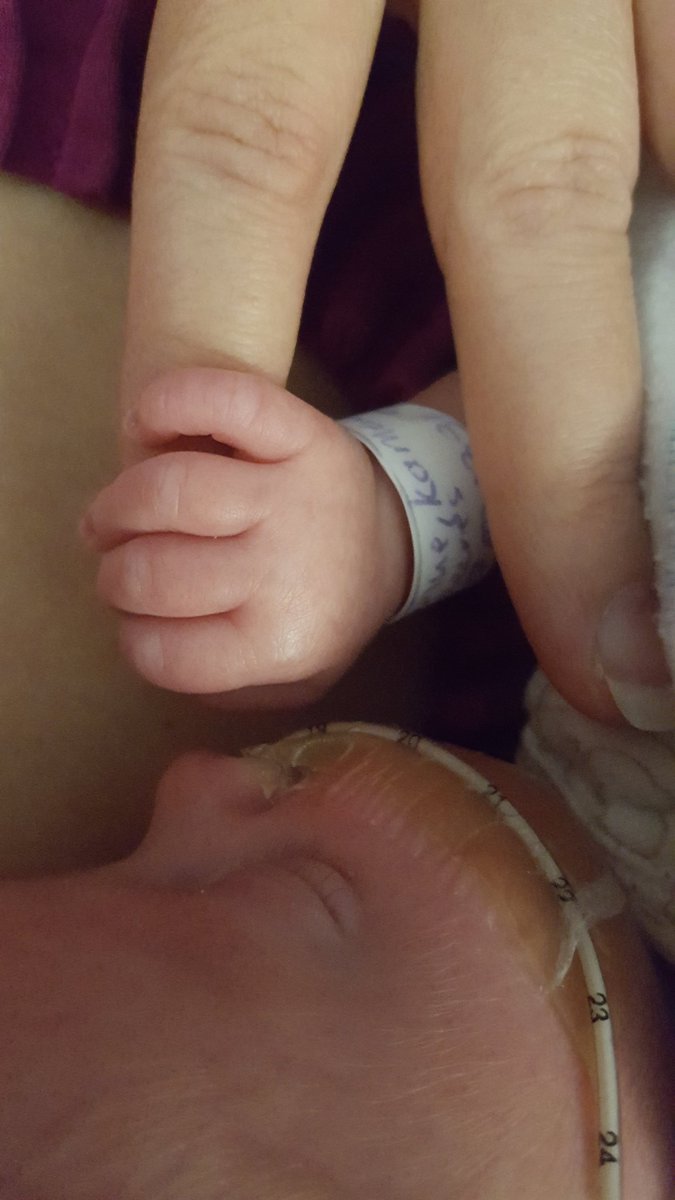 KameronBushue's tweet photo. her little hands have grabbed my heart!! https://t.co/JyfAjQxeIv