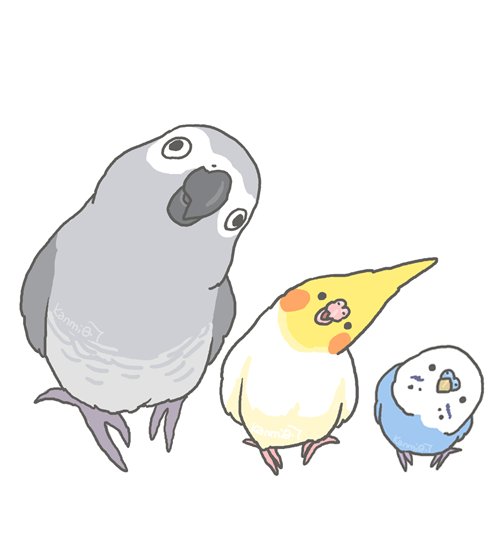 上下のTLを見る鳥 
