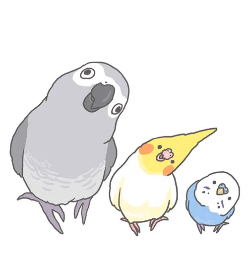上下のTLを見る鳥 