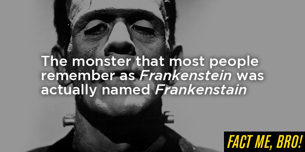 Fact Me, Bro! tweet media