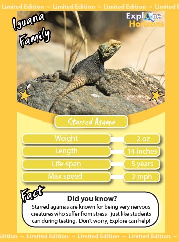 EHtutors's tweet photo. With #STAAR tests this week, here’s the tiny, stressed Starred Agama lizard – come to your center and collect all the #LizardCards! https://t.co/pOHLOzMtAf