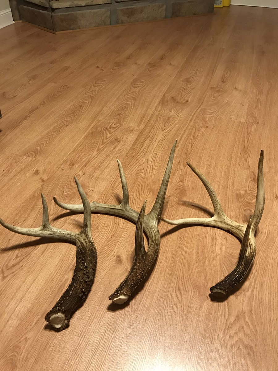 Found more sheds looking for dry land fish