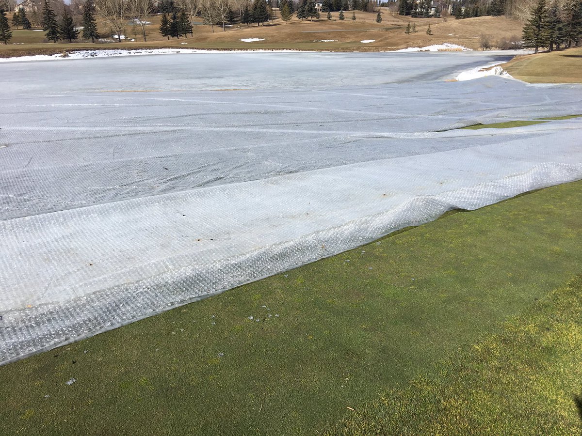 First tarp and all the bubble wrap removed from #9 green @GolfBearspaw   Happy with results. Cautiously optimistic. 19 more to go.
