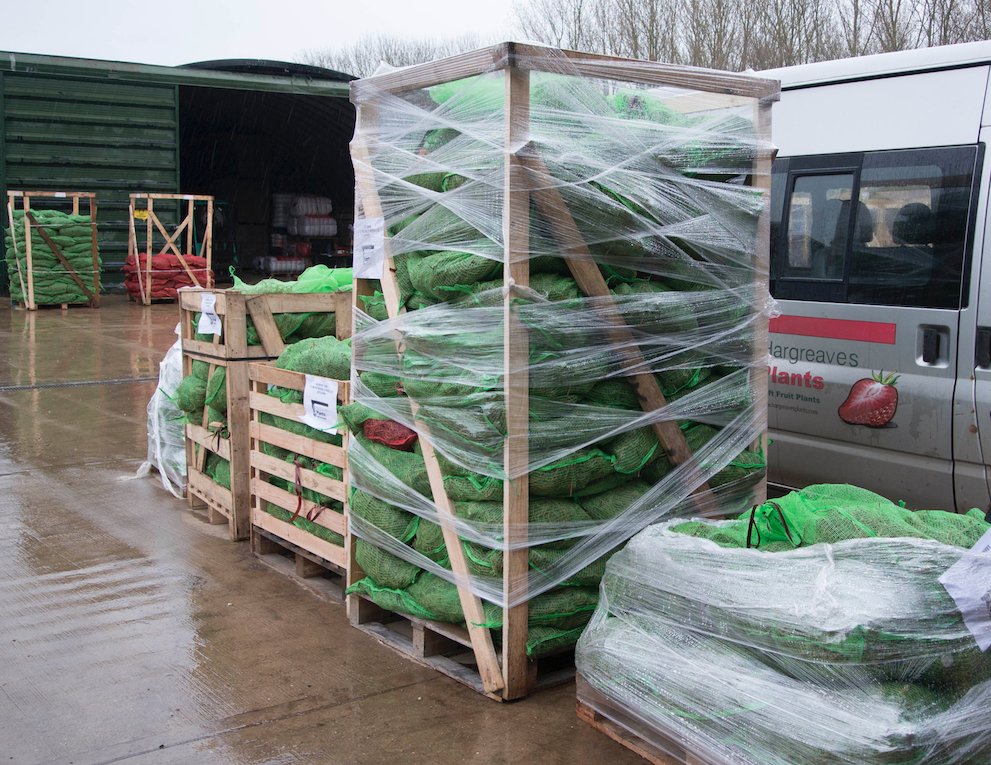 We've been Dispatching Plenty of #Asparagus all week; One minutes it 20°C the next is raining...Typical #BritishWeather 🤣