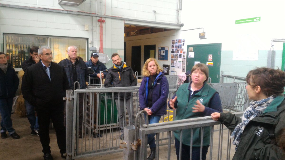 GautierIdele's tweet image. Intéressante utilisation du CT scanner au SRUC à des fins génétiques ! @SRUCKirkton @InstitutElevage #robustagno #eip-agri