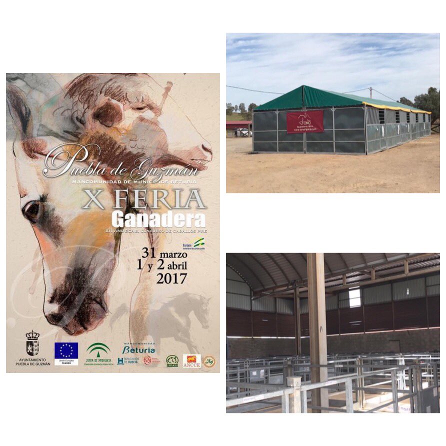 Hoy hemos realizado el montaje de los boxes y corraletas en la X Feria Ganadera y XII Andecab en la Puebla de Guzman