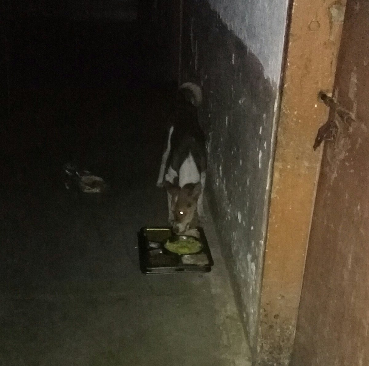 VoiceOfNITB's tweet photo. #NITB_INJUSTICE
NO PERMANENT DIRECTOR,POOR FACILITIES,CHAOS ALL AROUND,TYRANNICAL ADMINISTRATION @HRDMinistry @SushmaSwaraj @PrakashJavdekar https://t.co/FEbVQ7LZoS