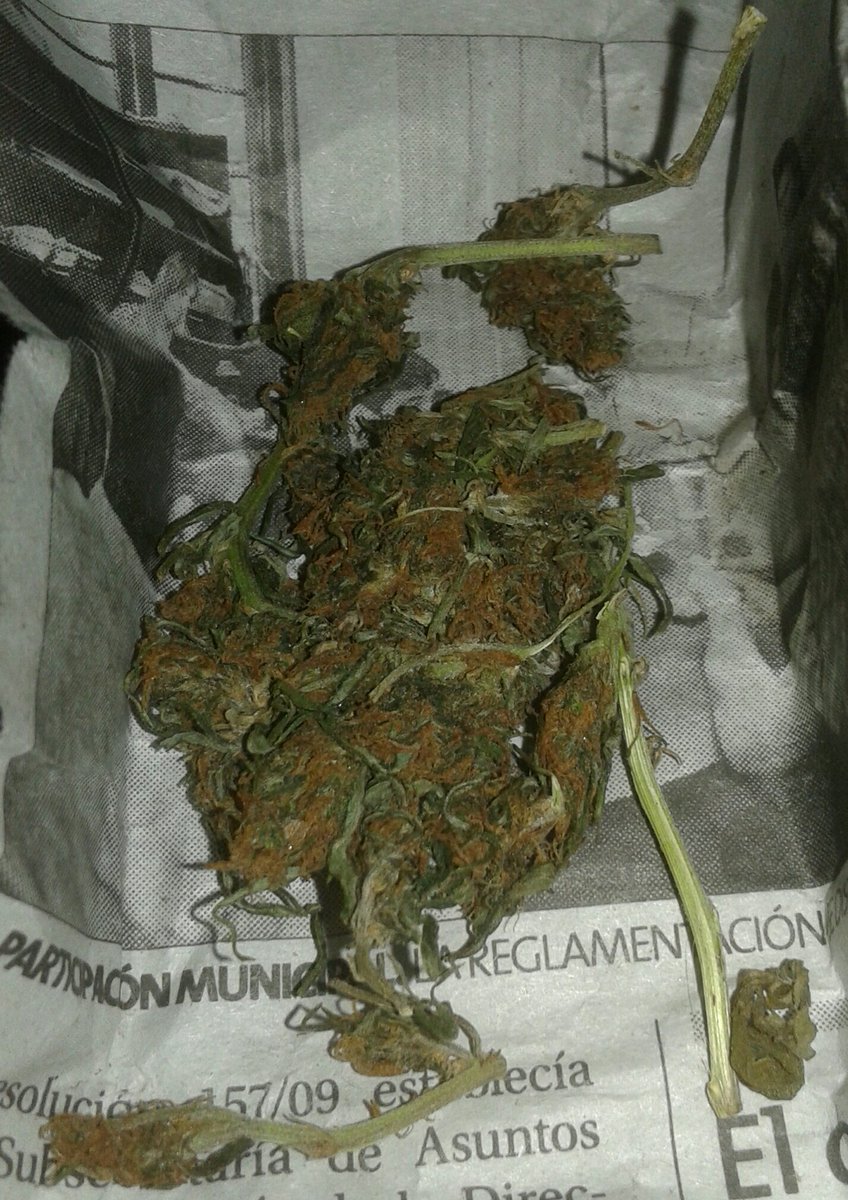 Armandolillo1's tweet photo. Guarda que son flores 🍁💨💨😑 https://t.co/zS6QIr8PBS