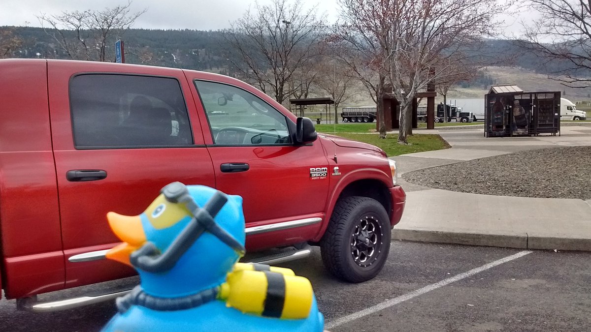 Neptune_Warrior's tweet photo. #NAUIduck headed to the Scuba and H2O show in Tacoma with @NAUIWorldwide ...But first a rest stop in East Oregon https://t.co/OTGU96ElAD