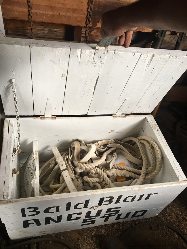 BaldBlairAngus's tweet photo. The old Bald Blair Angus Stud grooms box. Just need the groom. #timecapsule #baldblairangus #studcattle #showtime https://t.co/UHulNfWv5F