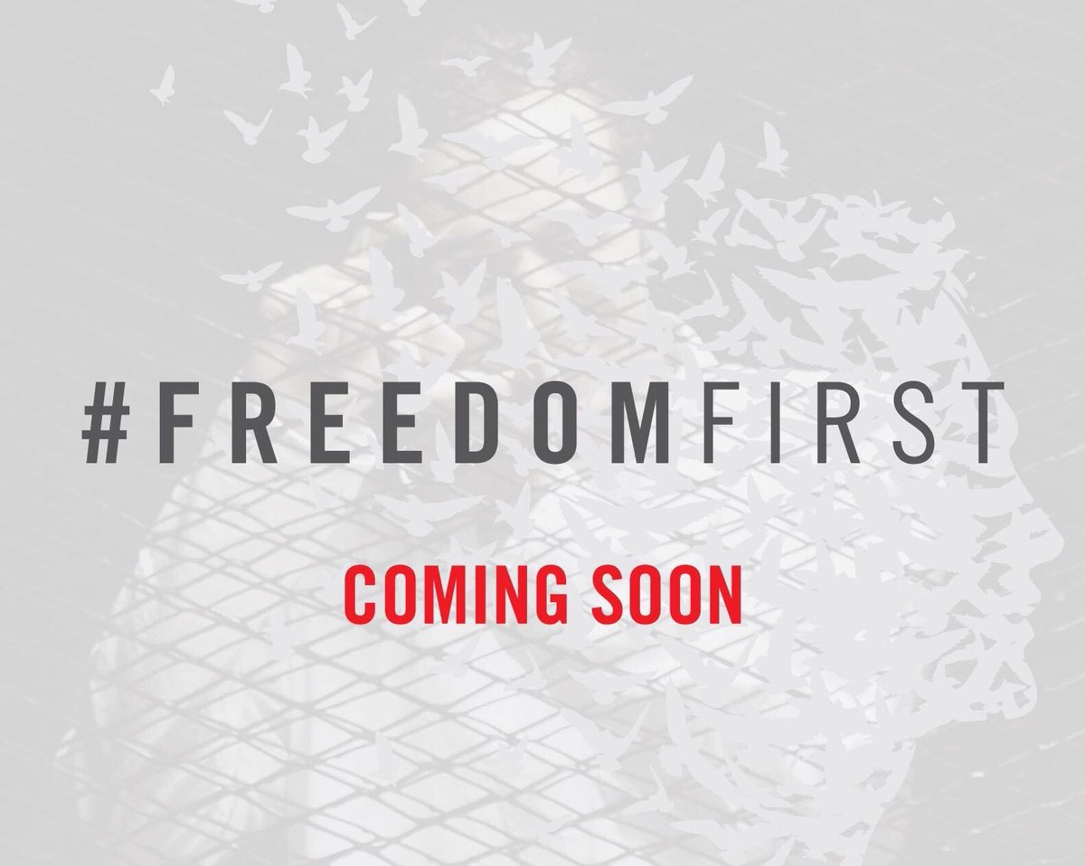 WhoIsSisi's tweet photo. Join the #FreedomFirst campaign against Sisi's visit to the White House https://t.co/0jl6tezEO4