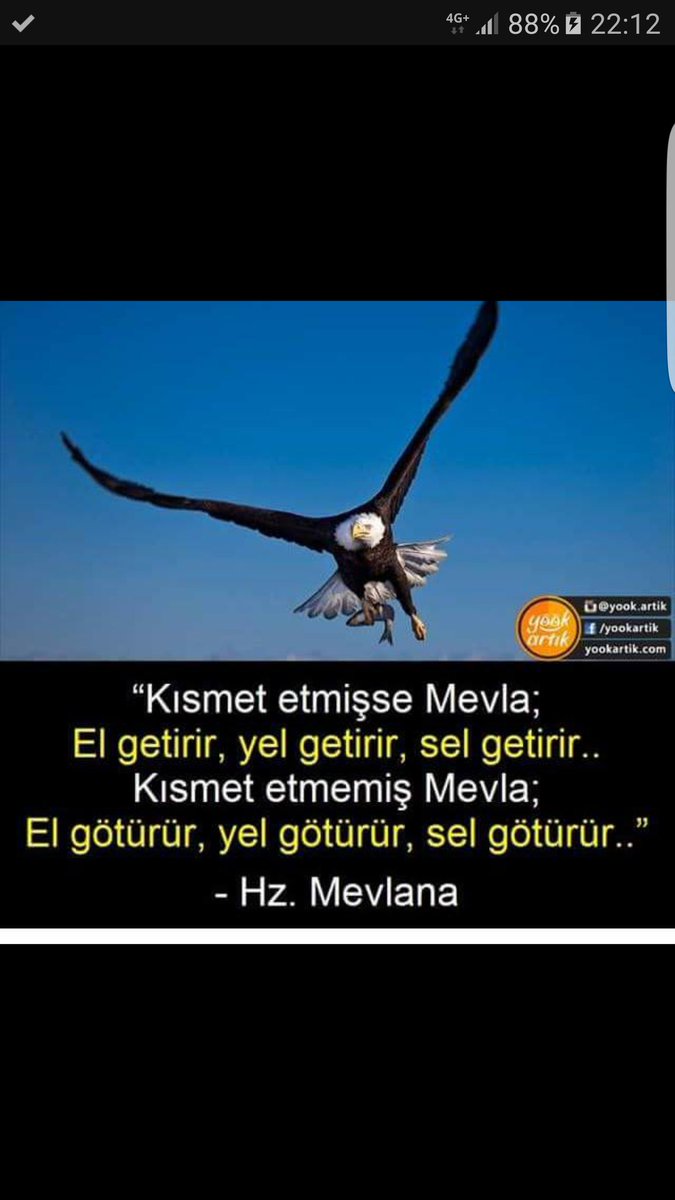 Erdal (@erdalalhan12) on Twitter photo 