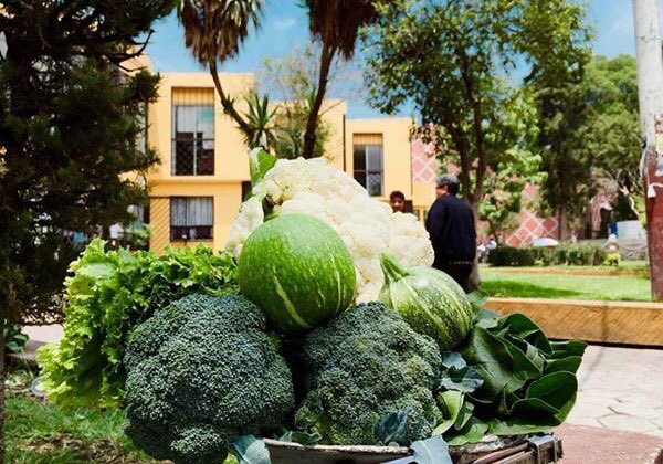 Desarrollo Rural TLH tweet media