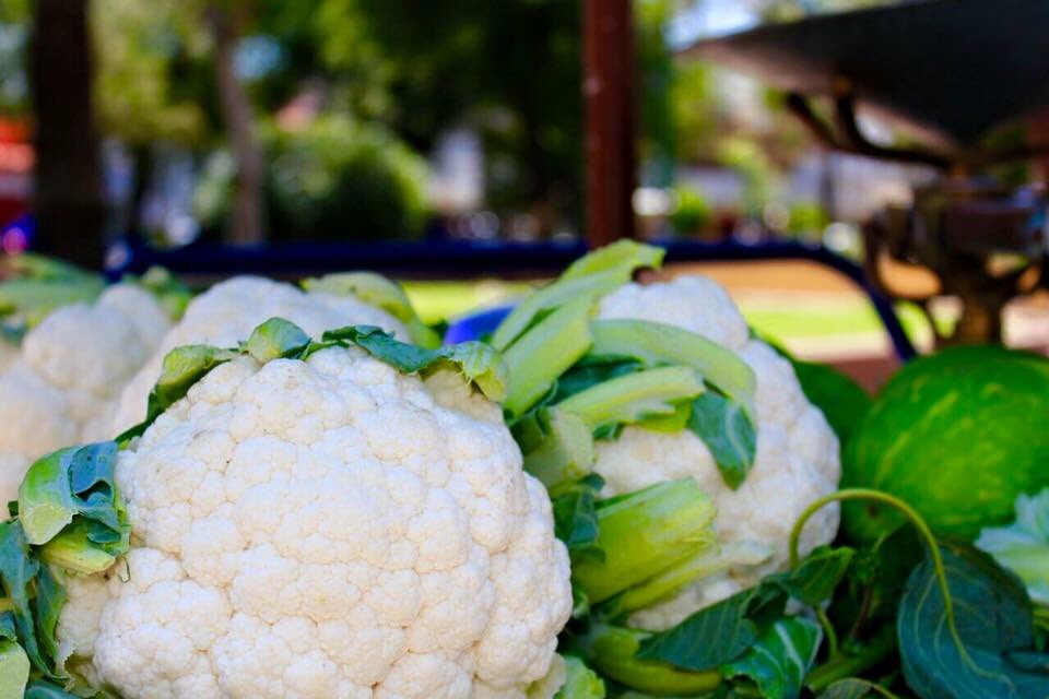 Desarrollo Rural TLH tweet media