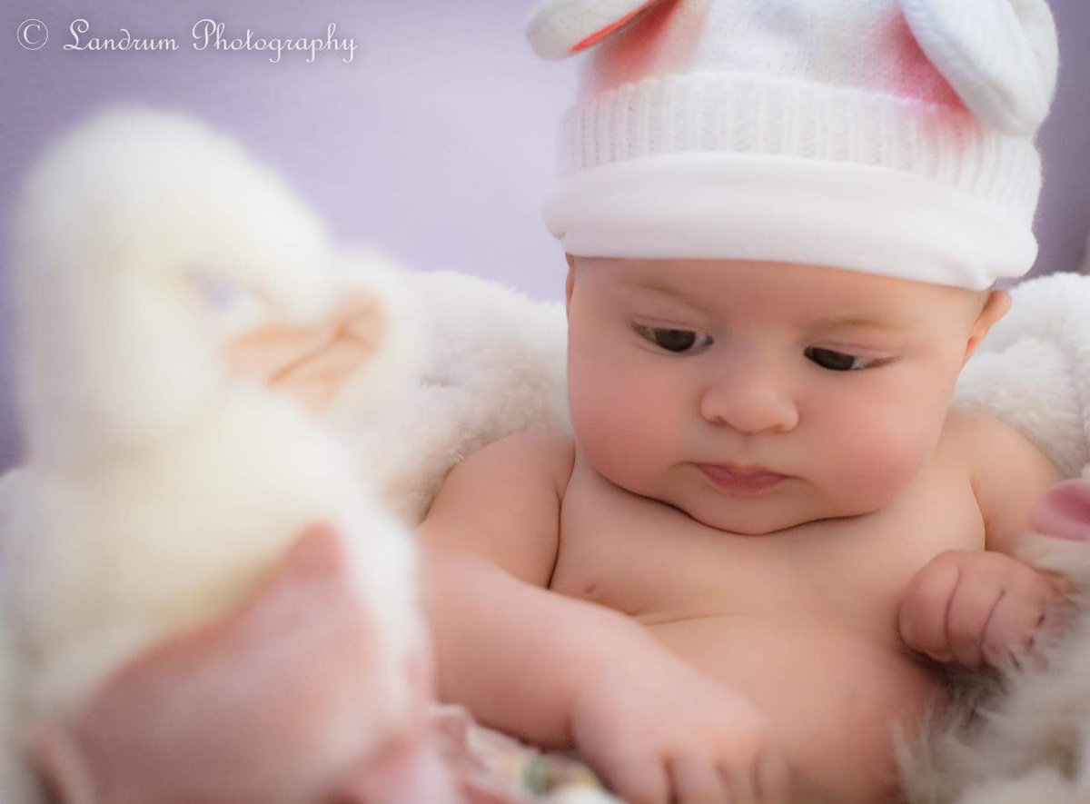 Easter photoshoots are starting! Get on it early 😁 #infantphotography #baby #babyphotography #maryland #marylandphotographer #photographer