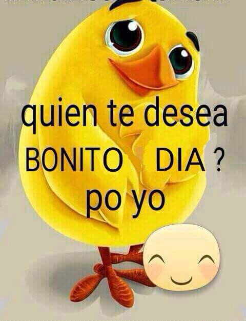 LobyEmi's tweet photo. #ValeMale https://t.co/vuBjzayWMX