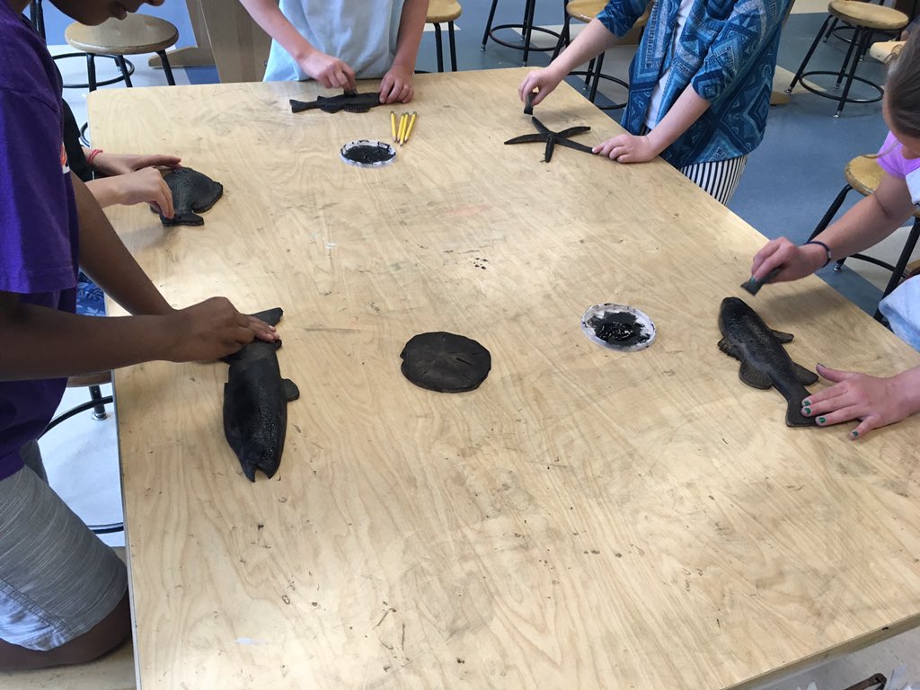 HGESpecialists's tweet photo. Third graders are learning about Japanese art by making Gyotaku fish prints!  #1Hedgehogs @HGHedgehog https://t.co/9FXlq3E2OX