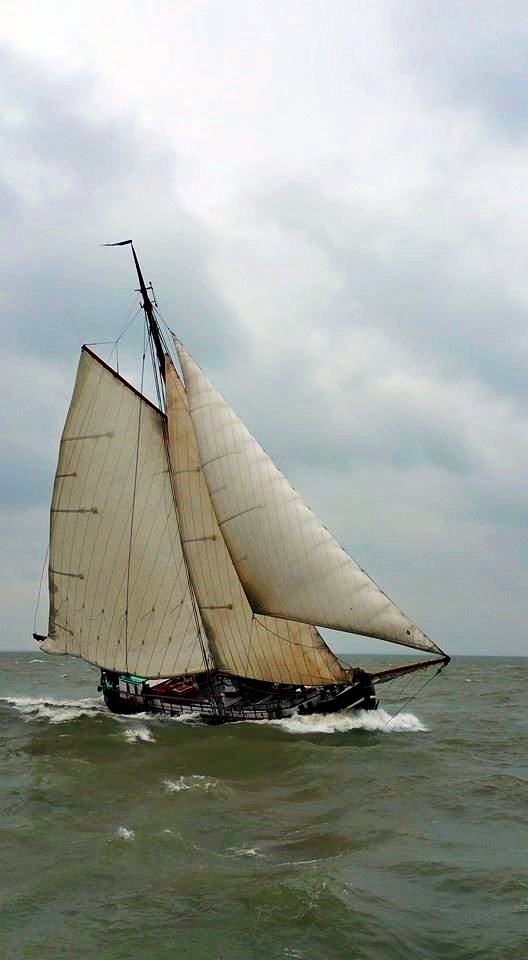 Nightwhisper77's tweet photo. Auf zum Horizont...
Mit voller Fahrt in neue Abenteuer!! 🌊💪⛵
#Regatta #Wochenende #Segelsaison #Segeln #Meer #Horizont #Abenteuer #Freiheit https://t.co/zK8xkhcquN