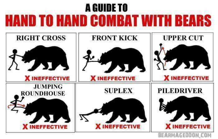 LloydLegalist's tweet photo. For your next camping adventure. https://t.co/2HHbxzpNls