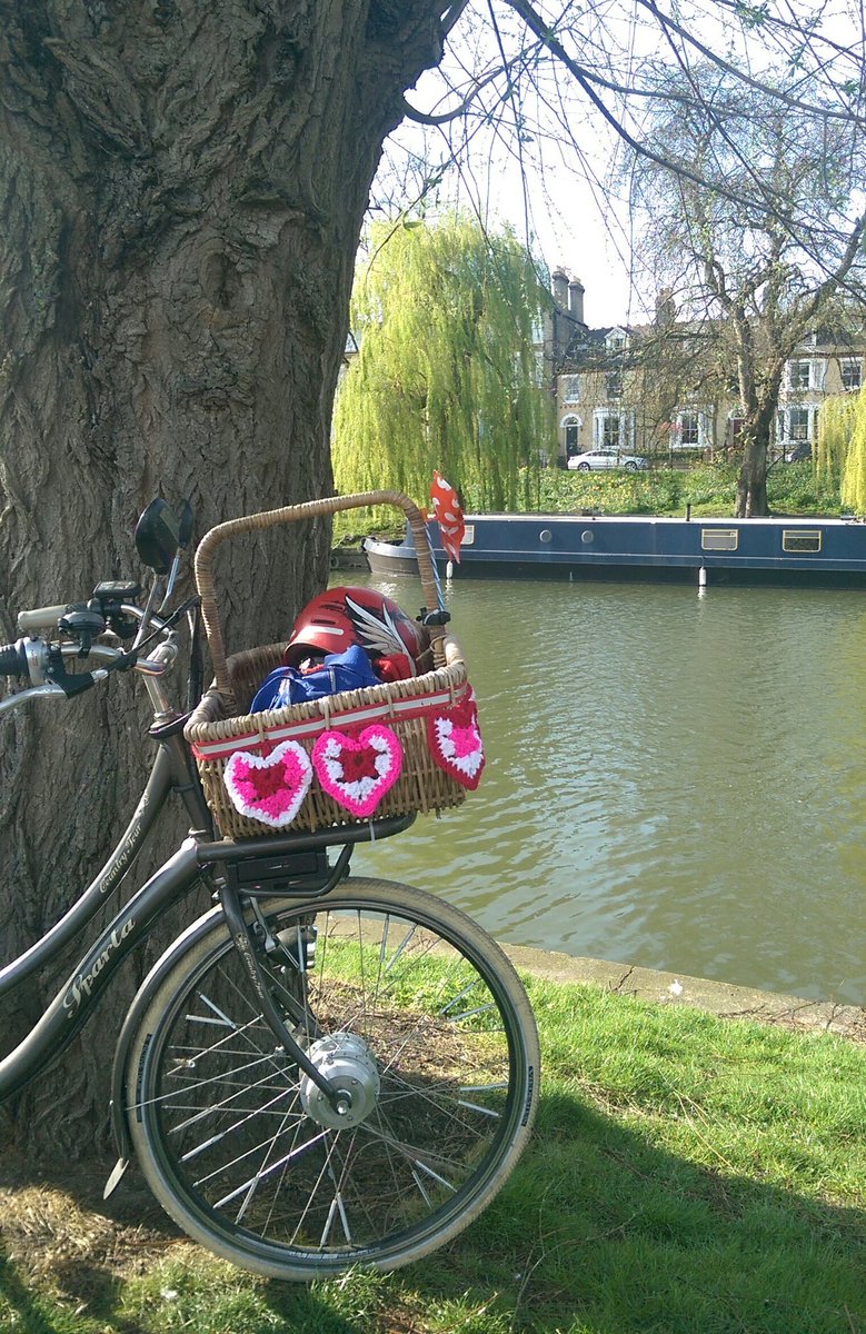Tigerchilli's tweet photo. Happy birthday to me(yesterday)&amp; so Dorothy Goldilocks gets a yarnbomb birthday gift. #tigerchilli #yarnbomb   https://t.co/JjAAGhp3Nl https://t.co/rVgqcEnkQc