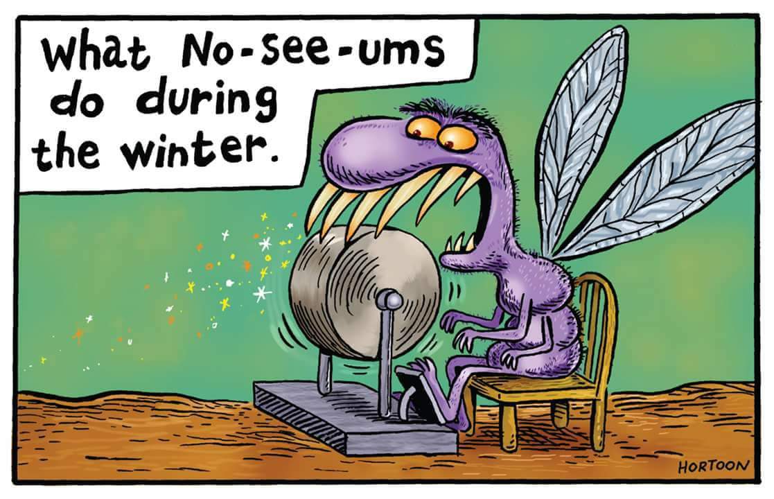 Bug Blasters (@AAbugbusters) / Posts / X