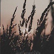 ⠀⠀⠀Lizzie Saltzman. 
⠀⠀⠀⠀⠀⠀—•» Siphoner.

⠀She is like the air; graceful.
⠀⠀⠀⠀But even wind can be violent.

❁∫» <a href="/IngeniiIuvenem/">— SALVATORE.</a>.
—— #Shady.