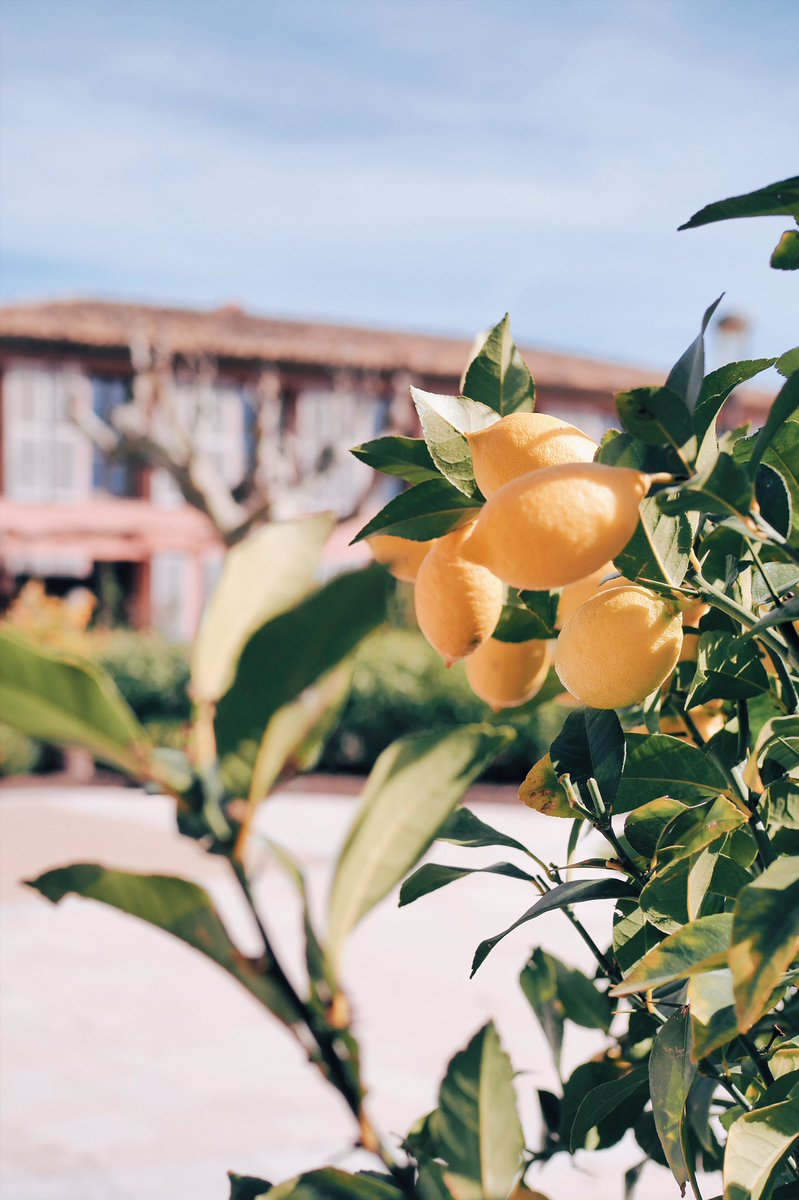 Mymycotton's tweet photo. • Blog > Go dans le sud à la découverte d'une journée en @EsterelCoteAzur &amp; des coulisses @SiWebFR ! #SiWeb2017
• https://t.co/XsM5ViTLK1 ☀️ https://t.co/OoFHBa7umy