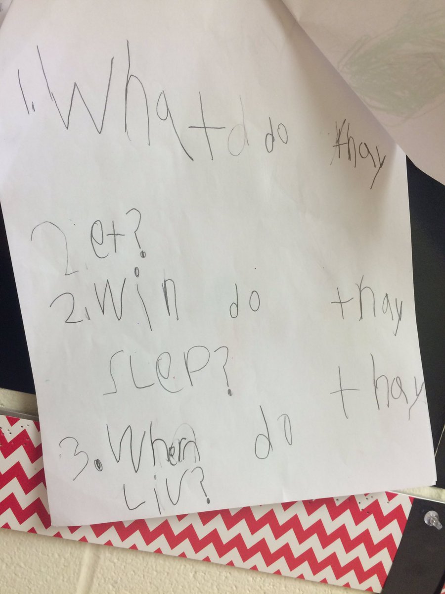 SheridanSES's tweet photo. Kinder pet research: pick a pet, create list of questions and research for answers. #marsh19 #seslearners @Lindsey_Bohler https://t.co/z47qyoqrgI