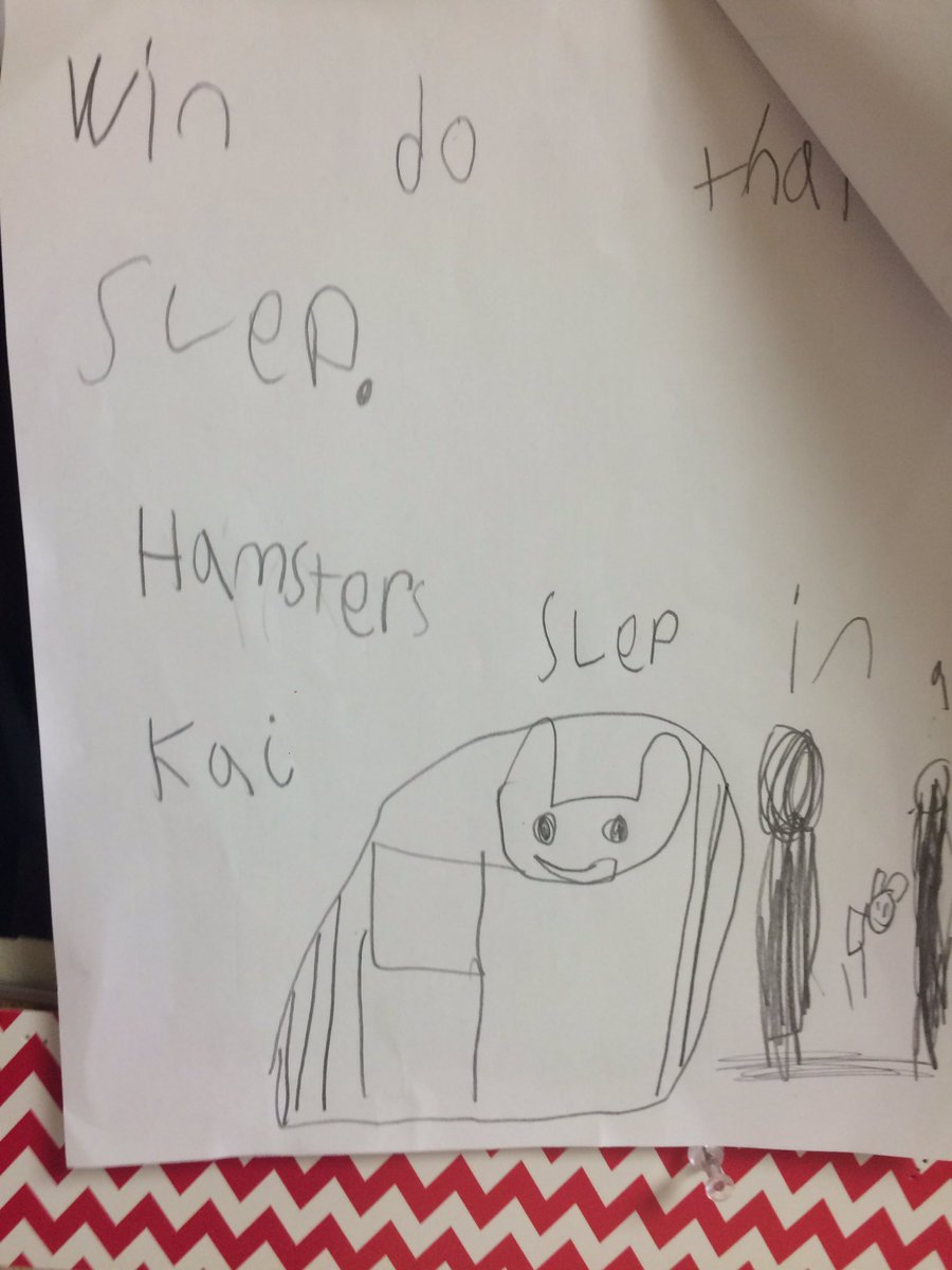 SheridanSES's tweet photo. Kinder pet research: pick a pet, create list of questions and research for answers. #marsh19 #seslearners @Lindsey_Bohler https://t.co/z47qyoqrgI