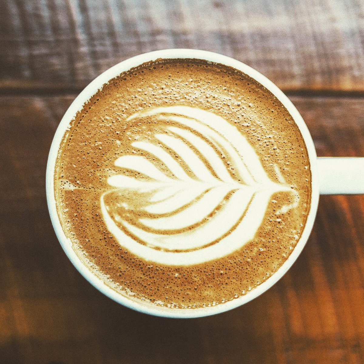 Any speciality coffee fans taking part tonight? How do you brew yours? #RugbyHour