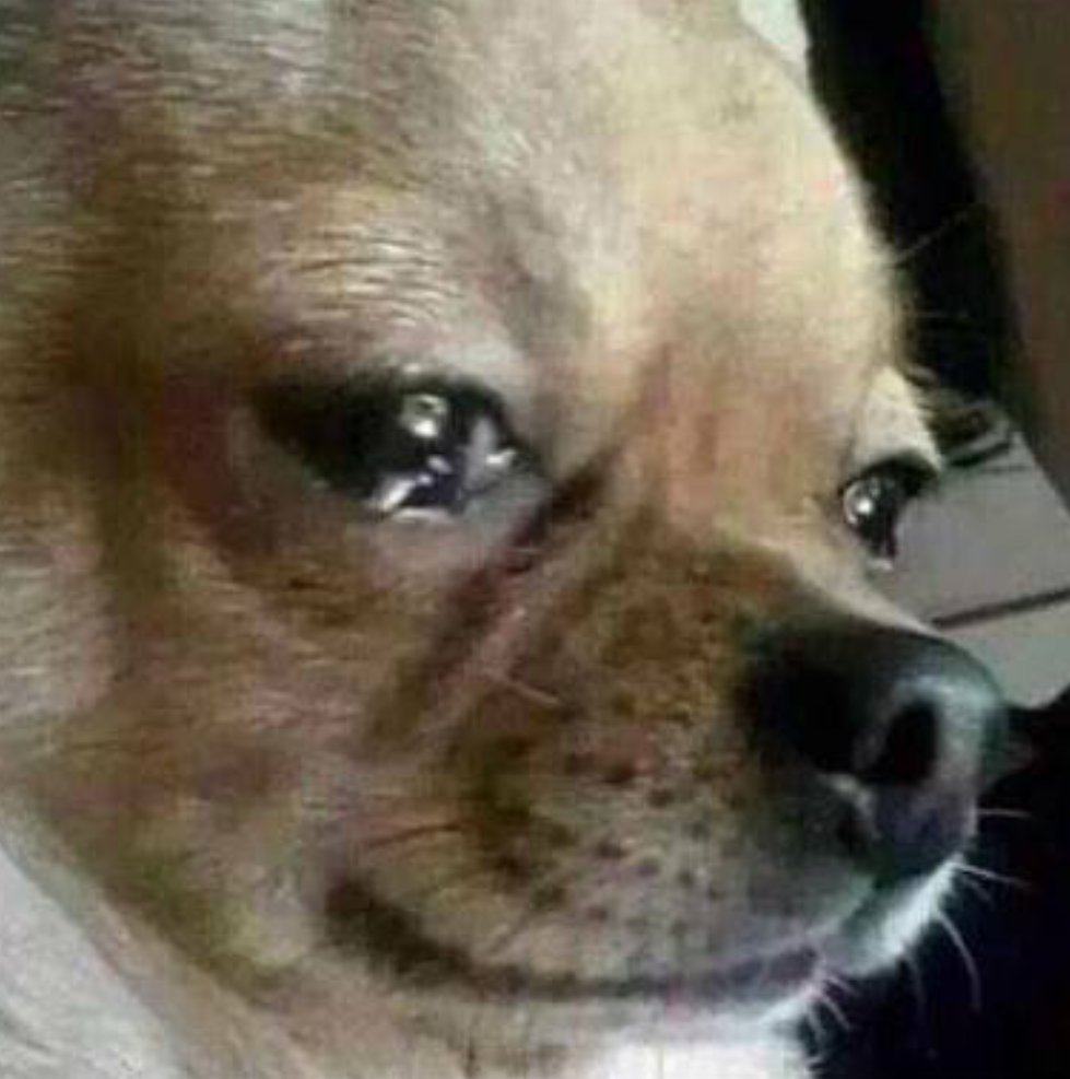 Crunchyroll Flash Contest We Re Celebrating Funimation S Upcoming Release Of Your Name By Giving Away 5 Posters Follow Amp Rt For A Chance To Win T Co Vise6betsu Twitter