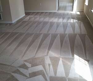 VGPreferred's tweet photo. Michigan Residents check out the new deal uploaded by Pro Carpet! #VGPdeals #CleanCarpet #HomeCare https://t.co/omYwJ9evOe https://t.co/flaficgqlB