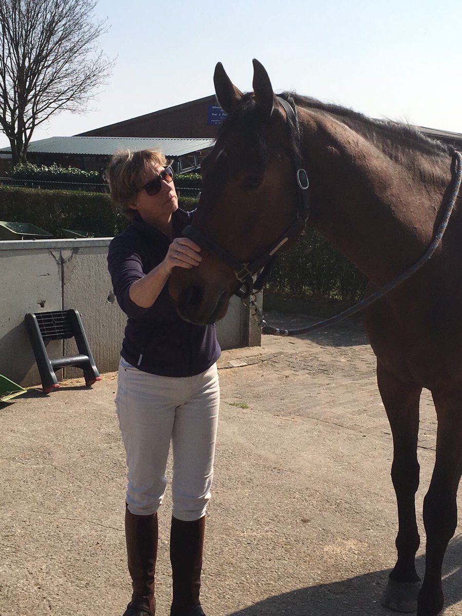 Zo'n leuk vak! Fysiotherapie-paard.com