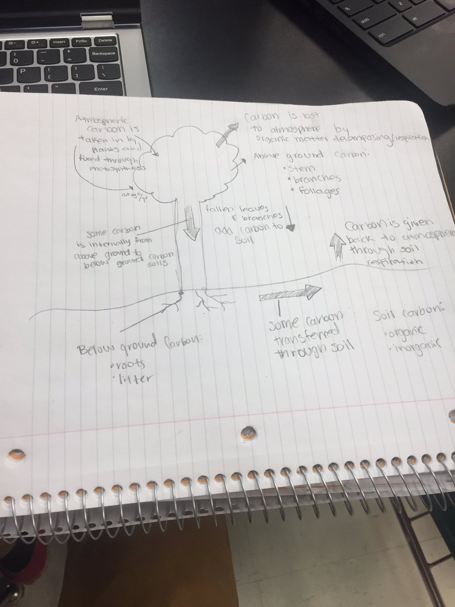 l_philip7's tweet photo. I learned that trees take in carbon and release it into the soil and the soil releases it back into the air #MEGEODEMONS https://t.co/2nZCvpV7IP