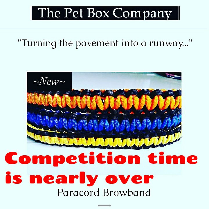 The Pet Box Company tweet media