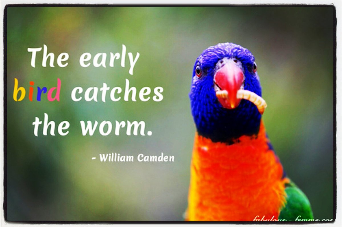 Early bird prices closes online tomorrow Friday, 31st March!!! dil.pieta.ie/event-informat…  #dilshrule #dil2017 #pietahouse #electricireland 💛💛💛