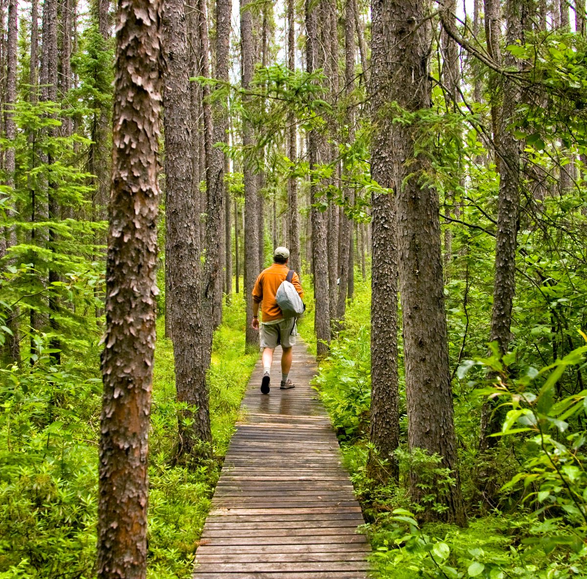 OntarioParksNE's tweet photo. #TakeAWalkInTheParkDay: Walking in nature is good for you - may we suggest planning a future walk in #EskerLakePP?  https://t.co/rimUjvoUiS https://t.co/sh0S93UMLp