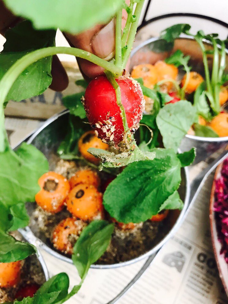 stuartscott353's tweet photo. Dukka dipped radish. Wow amazing picnic #teamcamden thank you #flavoursofspring #dipinoil #dipindukkaspice #eat @cateringbm https://t.co/VuuWbjDHVc
