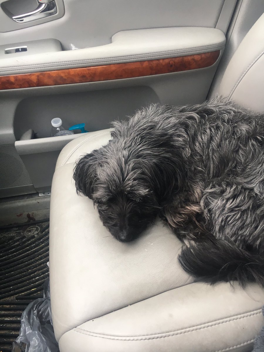 ProminenceP's tweet image. Waiting for Ethan to be done with baseball.