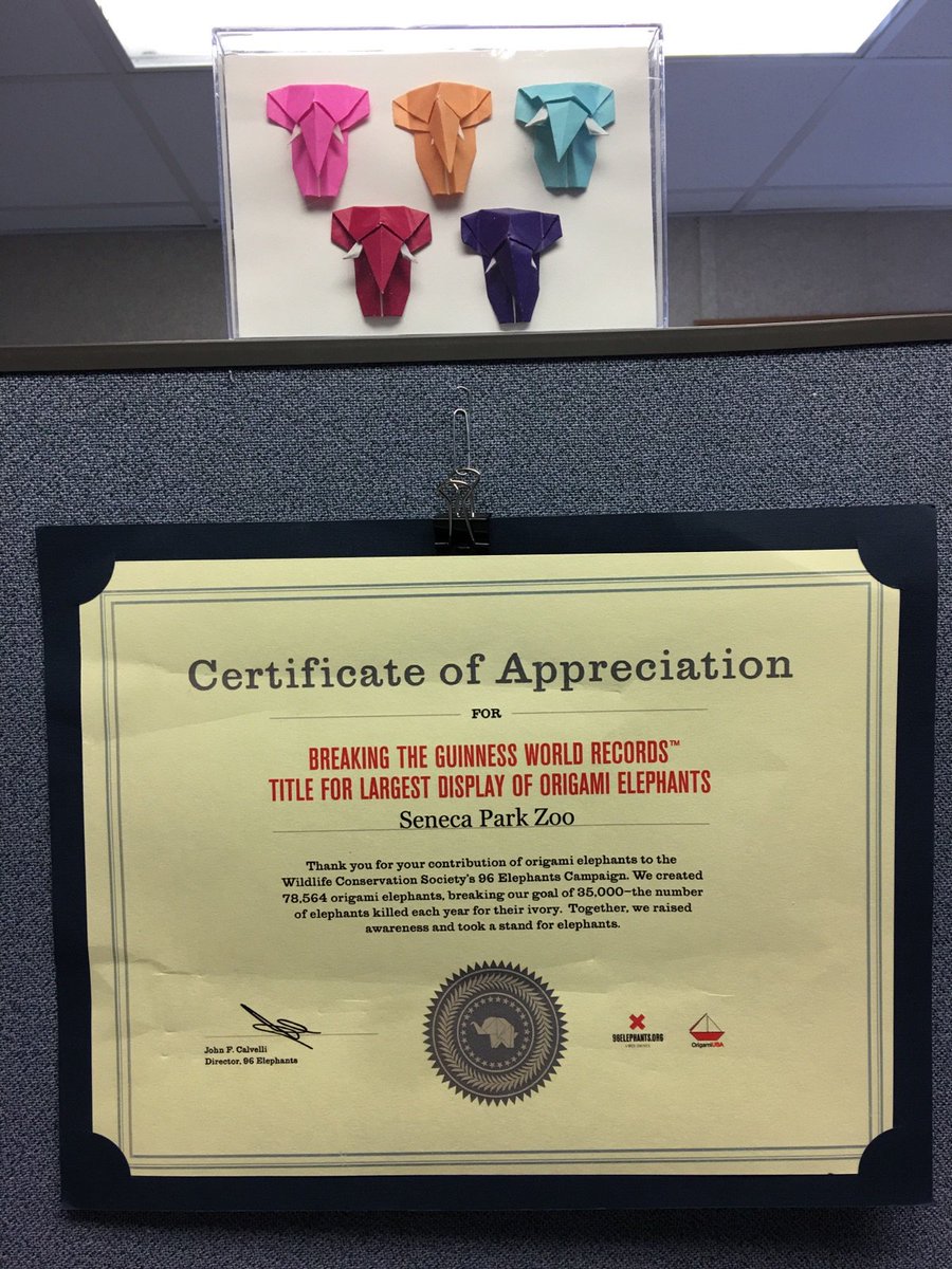 SenecaParkZoo's tweet image. We love this reminder of how we helped to set a world record with the #ElephantOrigamiChallenge last year from @TheWCS @96Elephants 🤗#tbt