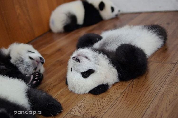 teachergoals's tweet photo. Teachers at the end of the day be like... https://t.co/xwThgbTRFe