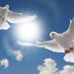 HealingFound8n's tweet photo. About us - https://t.co/gijg81E1kk https://t.co/dWXiKJp34h