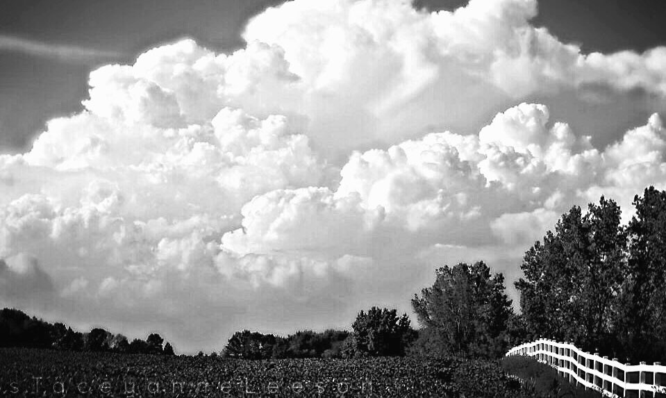 StaceyALee's tweet photo. Strong storms in Indiana right now & a really active start to the storm season. 🌪⛈🌪
@StormHour @ThePhotoHour #wx #2016photo https://t.co/Xd3aCsvGR8