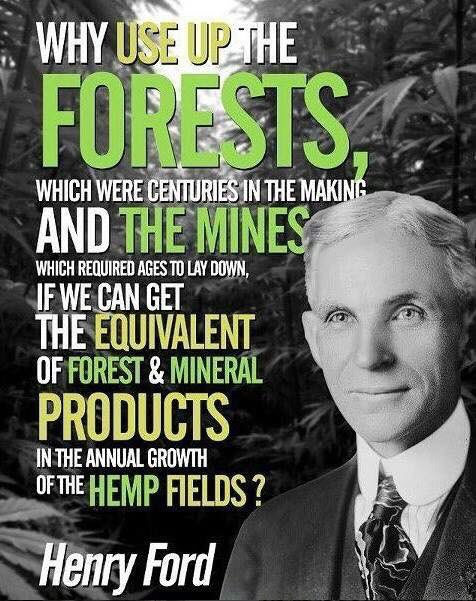 Henry Ford was spot on. Just one acre of Hemp produces 3x as much cellular fiber pulp than traditional wood. #hemp #HempLife #HelpUsGrow