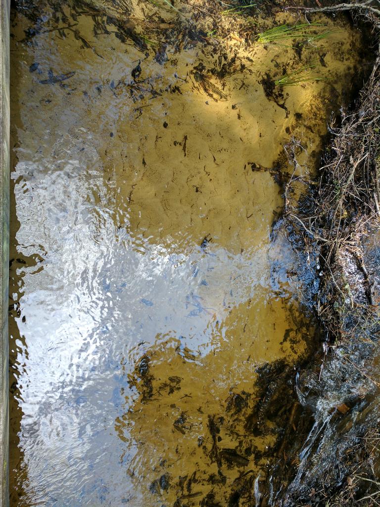 LowinBen's tweet photo. Salt and sand, for snow and ice.
They all end up in the salmon streams.
Quietly out of sight. https://t.co/160tFmdlb4
