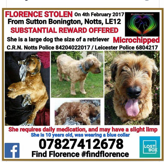 MelanieAtkin's tweet photo. Let's help find her x https://t.co/0E6dyhQLly