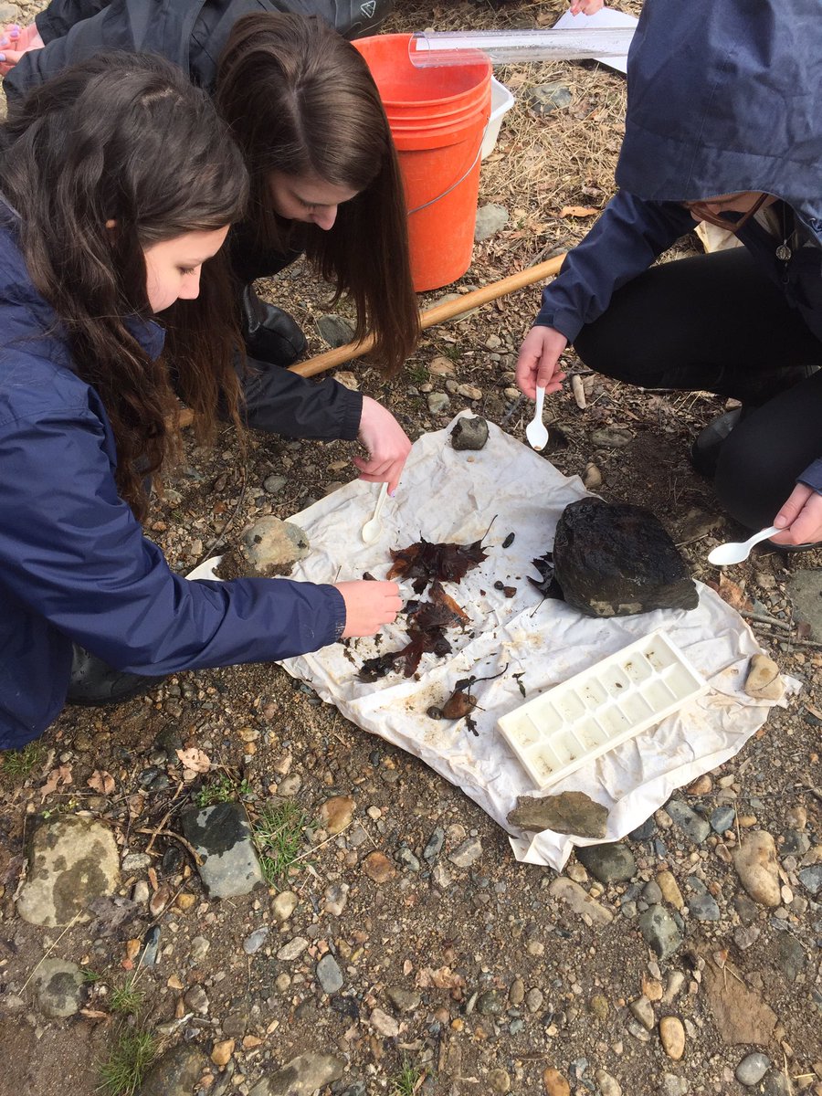 budinger03's tweet photo. Great past 2 days with @SparrowsPointHS students investigating Little Gunpowder and tributaries at Jerusalem Mill @BCPSSci @GunpowderSP https://t.co/IS8vWJ4sTq