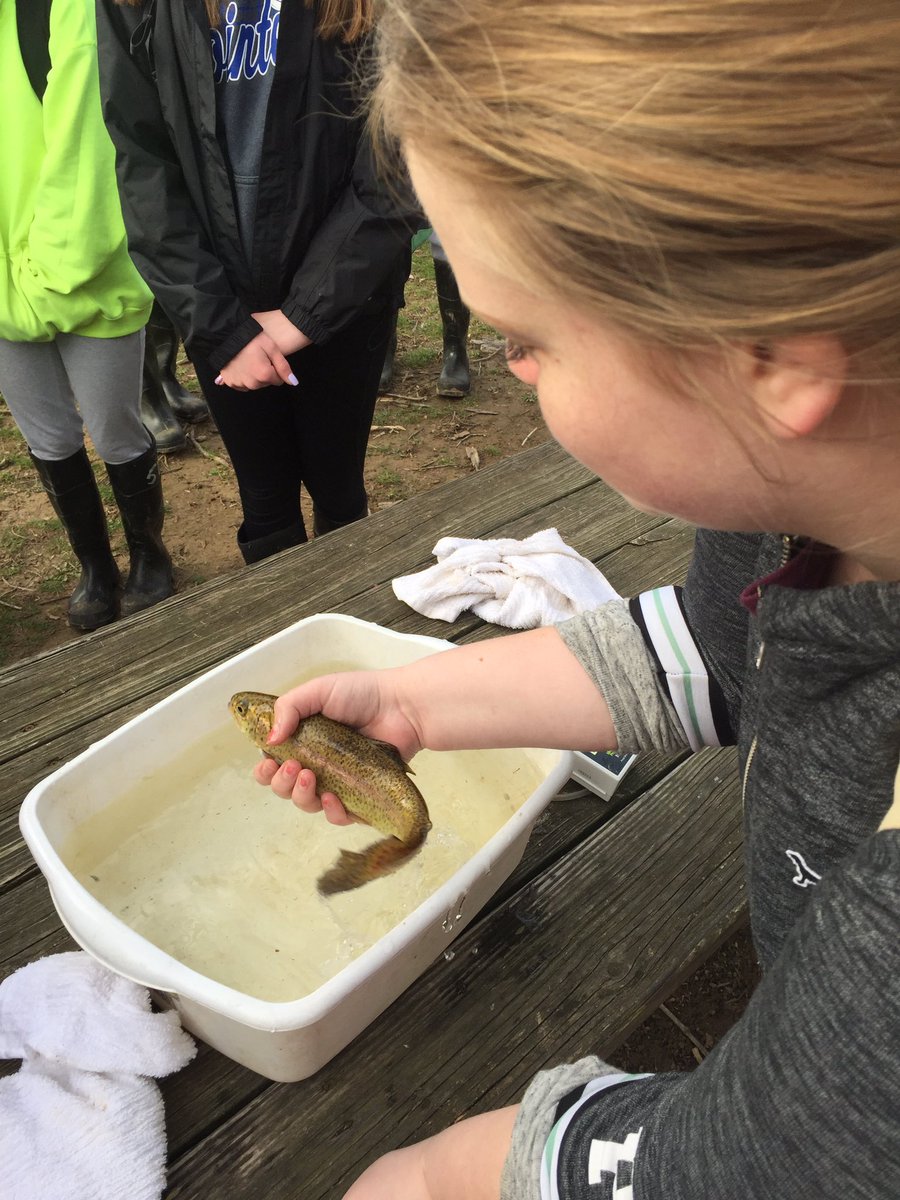 budinger03's tweet photo. Great past 2 days with @SparrowsPointHS students investigating Little Gunpowder and tributaries at Jerusalem Mill @BCPSSci @GunpowderSP https://t.co/IS8vWJ4sTq